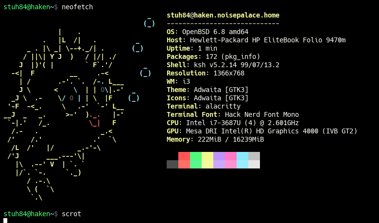 Haken OpenBSD Terminal